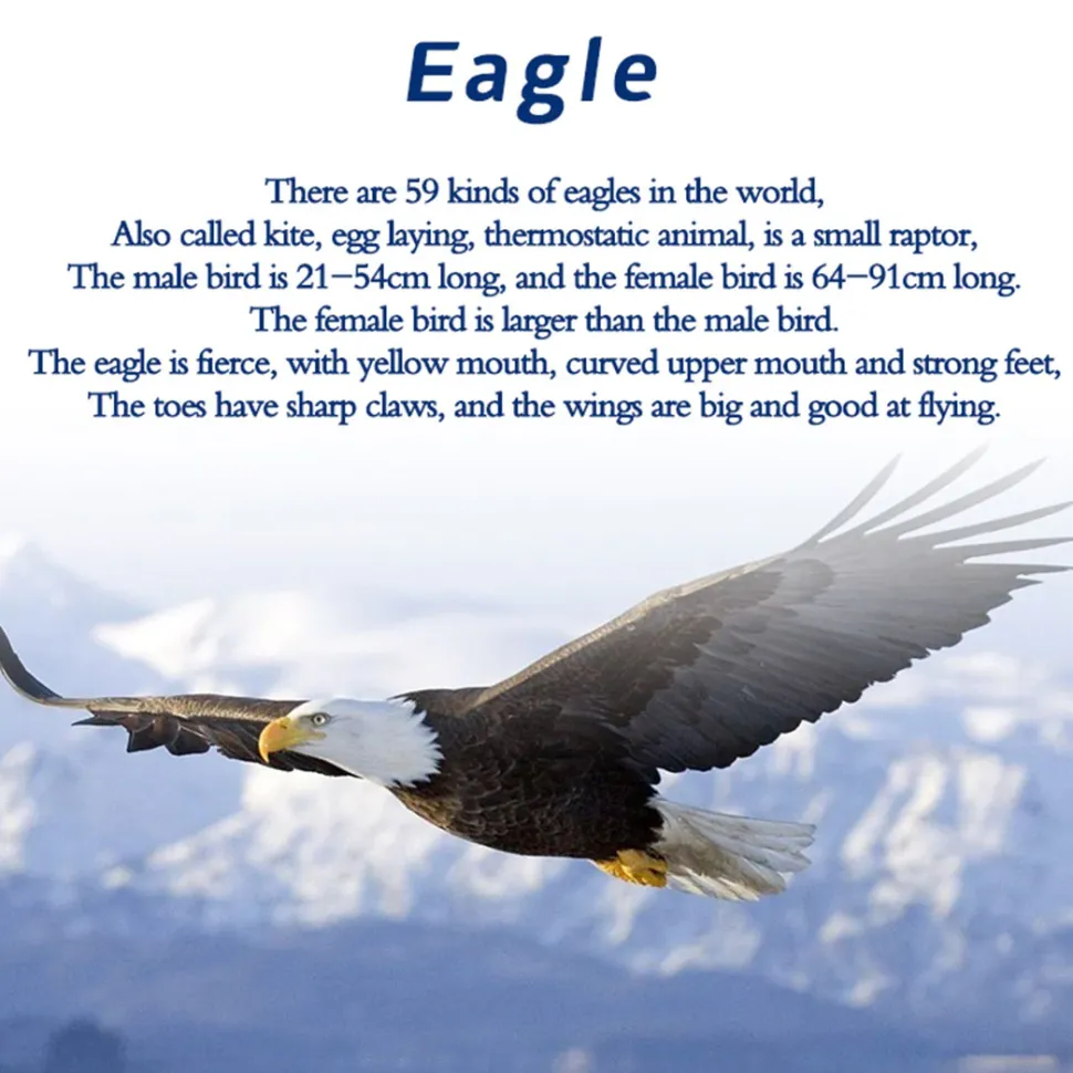TECHING American Bald Eagle Model Kit - Haliaeetus Leucocephalus with Flying and Flapping Wings